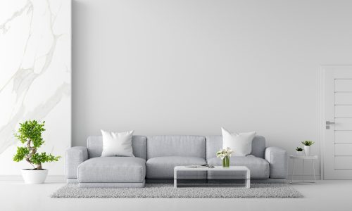 gray-sofa-white-living-room-interior-with-copy-space-3d-rendering_43614-802